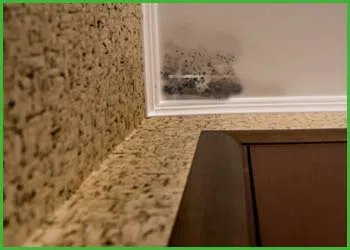 Fort Lauderdale Water & Mold Damage Fort Lauderdale, FL 954-374-6206 Fort Lauderdale Water & Mold Damage Fort Lauderdale, FL 954-374-6206 - city-page-mold