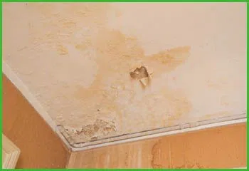 Fort Lauderdale Water & Mold Damage Fort Lauderdale, FL 954-374-6206 - cont-about-2