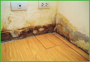 Fort Lauderdale Water & Mold Damage Fort Lauderdale, FL 954-374-6206 - cont-flood-2