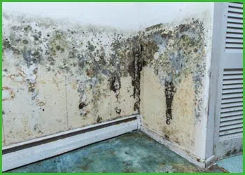 Fort Lauderdale Water & Mold Damage Fort Lauderdale, FL 954-374-6206