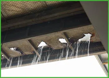 Fort Lauderdale Water & Mold Damage Fort Lauderdale, FL 954-374-6206 Fort Lauderdale Water & Mold Damage Fort Lauderdale, FL 954-374-6206 - cont-water-leak-wgr-1