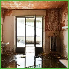 Fort Lauderdale Water & Mold Damage Fort Lauderdale, FL 954-374-6206 Fort Lauderdale Water & Mold Damage Fort Lauderdale, FL 954-374-6206